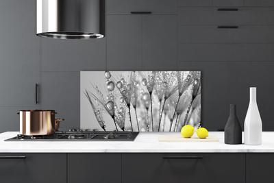 Kitchen Splashback Dandelion floral grey