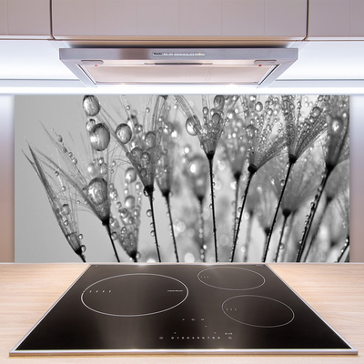 Kitchen Splashback Dandelion floral grey