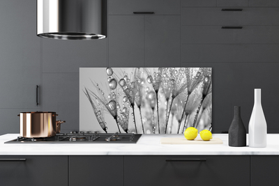 Kitchen Splashback Dandelion floral grey