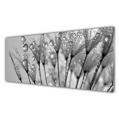 Kitchen Splashback Dandelion floral grey