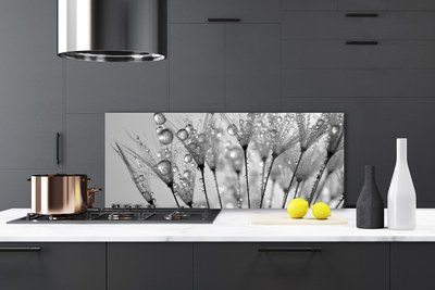 Kitchen Splashback Dandelion floral grey