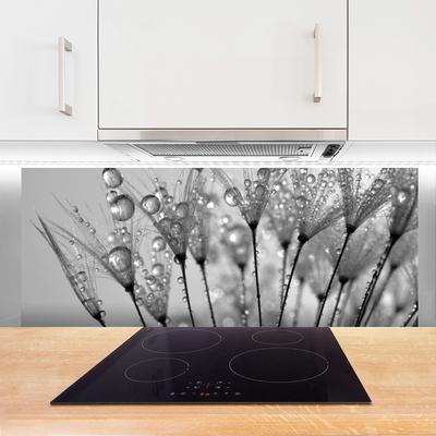 Kitchen Splashback Dandelion floral grey