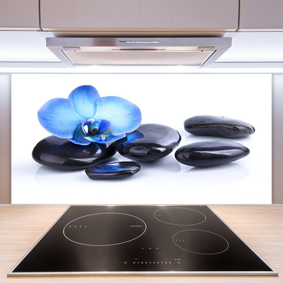 Kitchen Splashback Flower stones art blue black