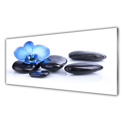 Kitchen Splashback Flower stones art blue black