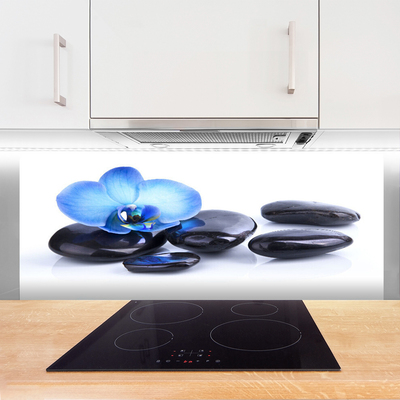 Kitchen Splashback Flower stones art blue black