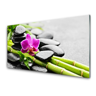 Kitchen Splashback Bamboo tube flower stones art green red black