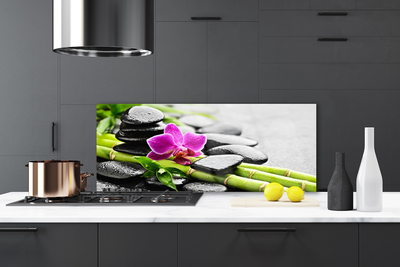 Kitchen Splashback Bamboo tube flower stones art green red black