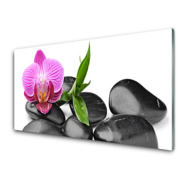 Kitchen Splashback Flower stones art pink black