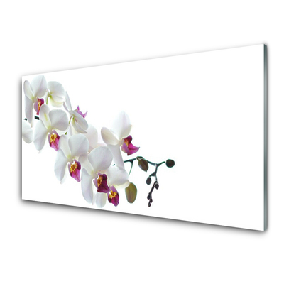 Kitchen Splashback Flowers floral white