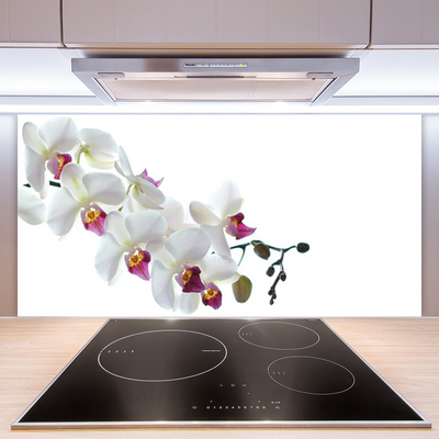 Kitchen Splashback Flowers floral white