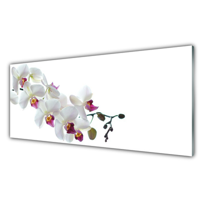 Kitchen Splashback Flowers floral white