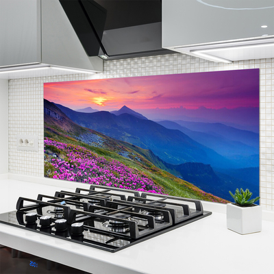 Kitchen Splashback Mountains meadow flowers landscape blue pink green yellow