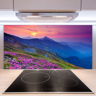 Kitchen Splashback Mountains meadow flowers landscape blue pink green yellow