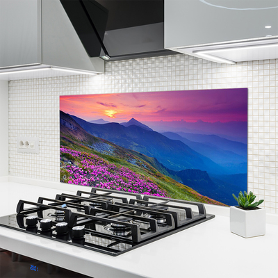 Kitchen Splashback Mountains meadow flowers landscape blue pink green yellow