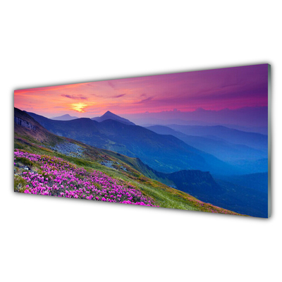 Kitchen Splashback Mountains meadow flowers landscape blue pink green yellow