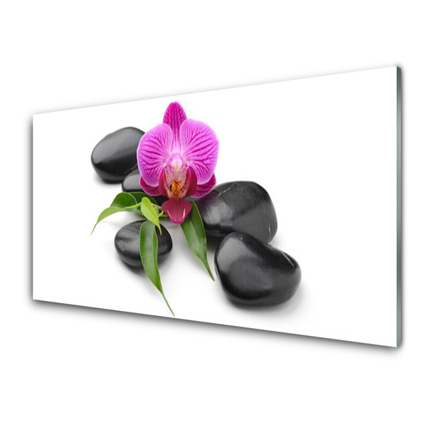 Kitchen Splashback Flower stones art pink black