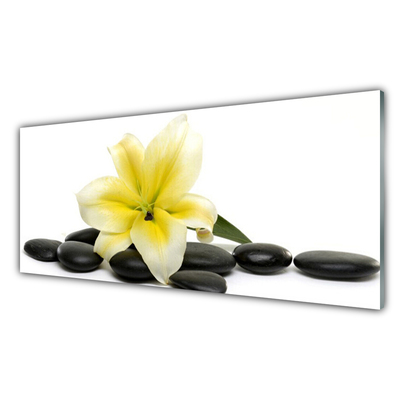 Kitchen Splashback Flower stones art white green black