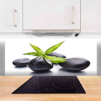 Kitchen Splashback Stones leaves art black green