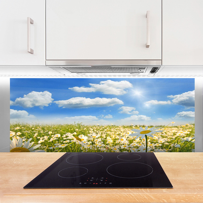 Kitchen Splashback Meadow daisies nature green blue white