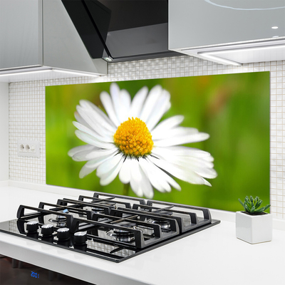 Kitchen Splashback Daisy floral yellow white