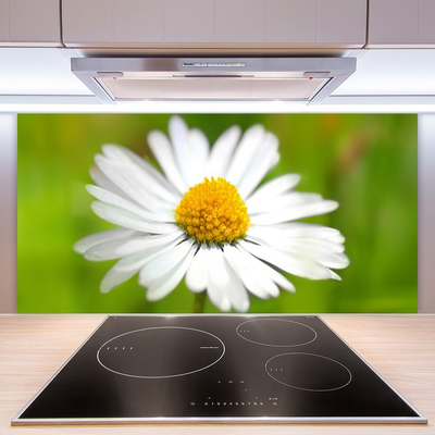 Kitchen Splashback Daisy floral yellow white