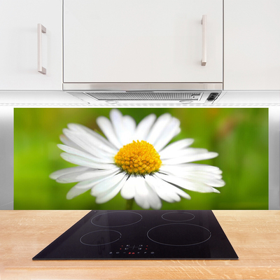 Kitchen Splashback Daisy floral yellow white