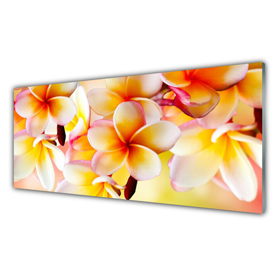 Kitchen Splashback Flowers floral red green white