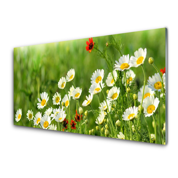 Kitchen Splashback Daisy nature yellow white