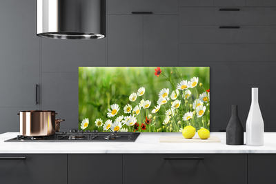 Kitchen Splashback Daisy nature yellow white