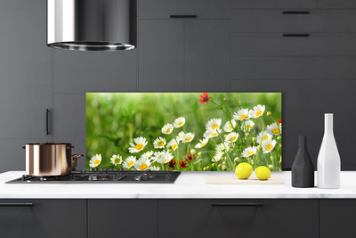 Kitchen Splashback Daisy nature yellow white