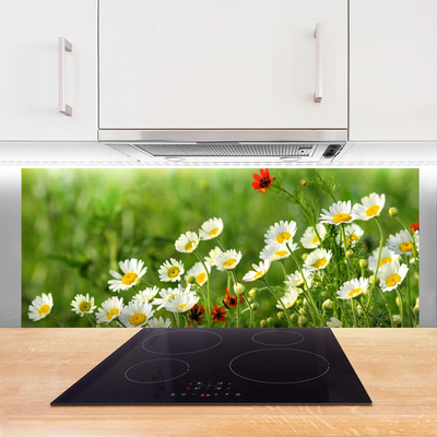 Kitchen Splashback Daisy nature yellow white