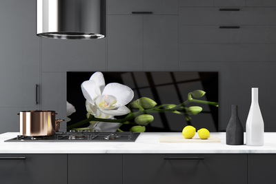 Kitchen Splashback Flower floral white