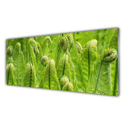 Kitchen Splashback Plants floral green