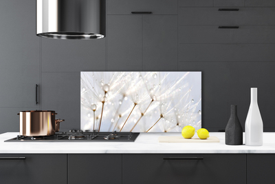 Kitchen Splashback Dandelion floral white