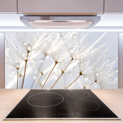 Kitchen Splashback Dandelion floral white