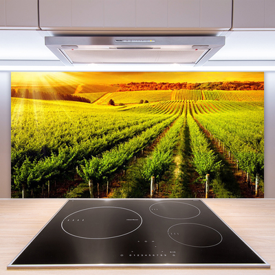 Kitchen Splashback Field nature green brown