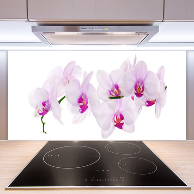 Kitchen Splashback Flowers floral pink