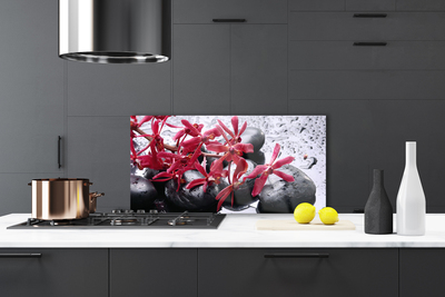 Kitchen Splashback Flower stones art black red