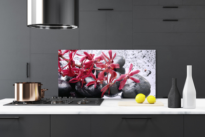 Kitchen Splashback Flower stones art black red