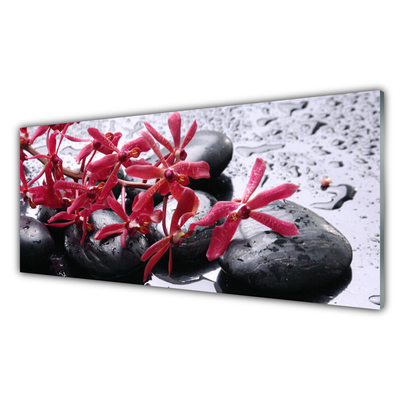 Kitchen Splashback Flower stones art black red