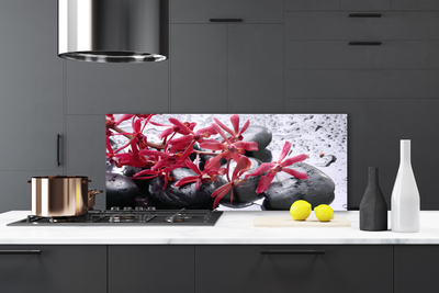 Kitchen Splashback Flower stones art black red