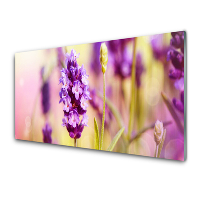 Kitchen Splashback Flowers floral pink