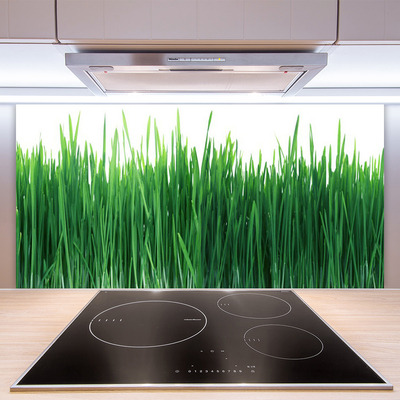 Kitchen Splashback Weed nature green