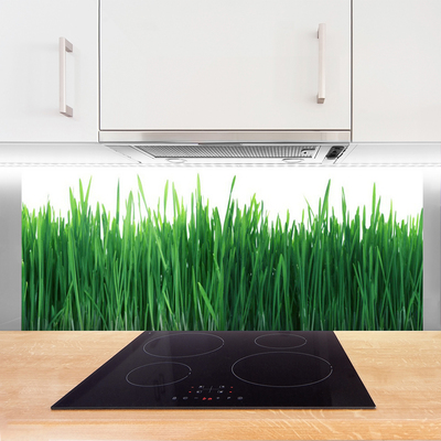 Kitchen Splashback Weed nature green