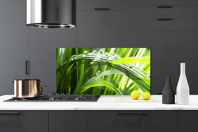 Kitchen Splashback Grass water drops nature green