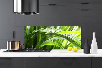 Kitchen Splashback Grass water drops nature green