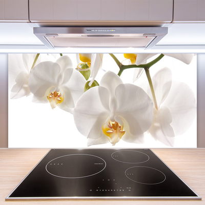 Kitchen Splashback Flowers floral white