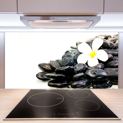 Kitchen Splashback Flower stones art white black