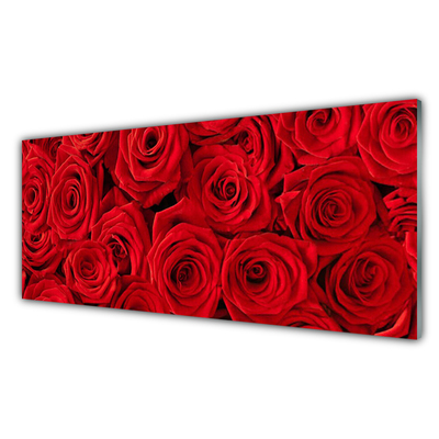 Kitchen Splashback Roses floral red