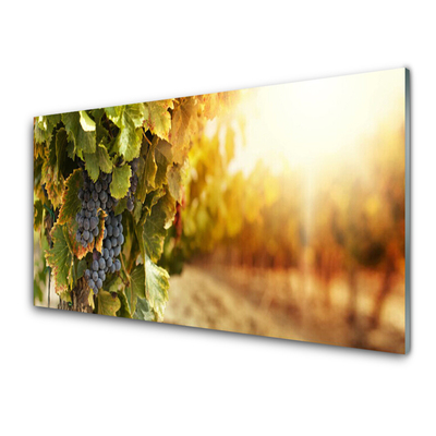 Kitchen Splashback Grapes nature purple green